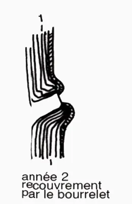 Vie d'une coupe de branche